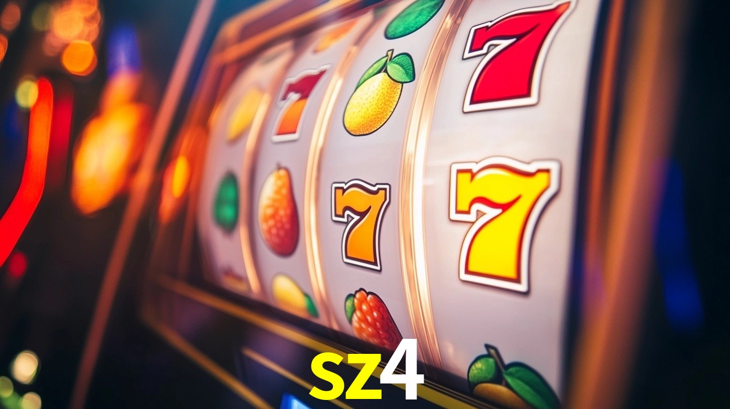 sz4 App Interface